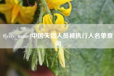 邢台中国失信人员被执行人名单查询