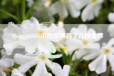 邢台中国金牌得了几枚金牌