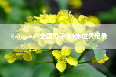 邢台全国男子5000米世界纪录