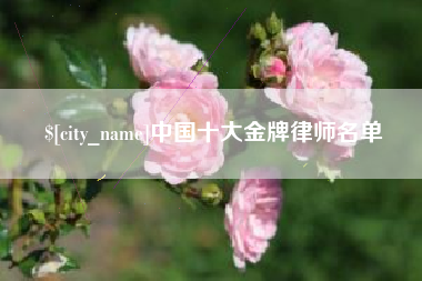 邢台中国十大金牌律师名单