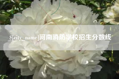 邢台河南消防学校招生分数线