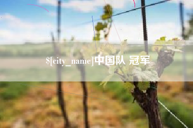 邢台中国队 冠军