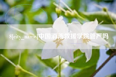 邢台中国消防救援学院管严吗