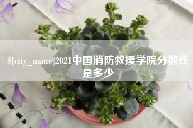 邢台2021中国消防救援学院分数线是多少