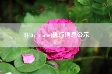 邢台执行信息公示