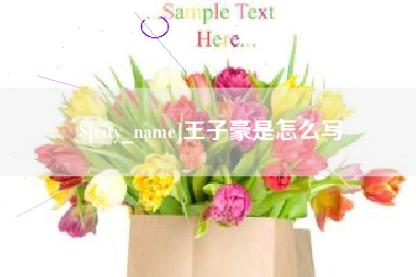 邢台王子豪是怎么写