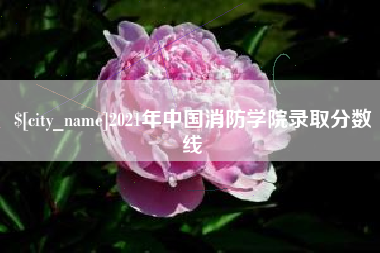 邢台2021年中国消防学院录取分数线