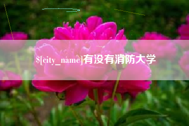 邢台有没有消防大学