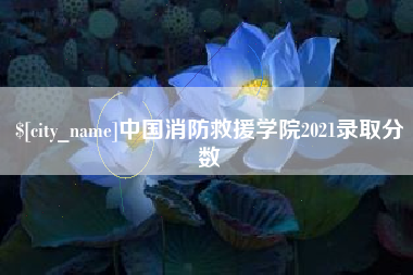 邢台中国消防救援学院2021录取分数