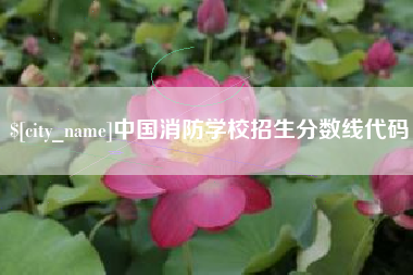 邢台中国消防学校招生分数线代码