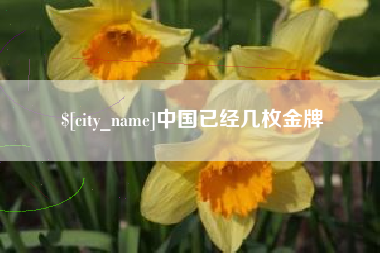 邢台中国已经几枚金牌
