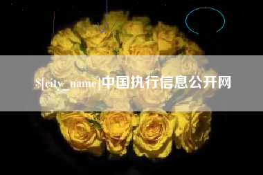 邢台中国执行信息公开网