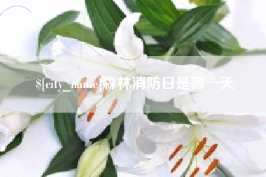 邢台森林消防日是哪一天