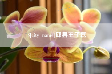 邢台邱县王子磊