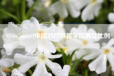 邢台中国消防救援学院男女比例
