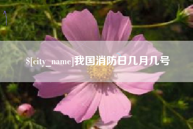 邢台我国消防日几月几号