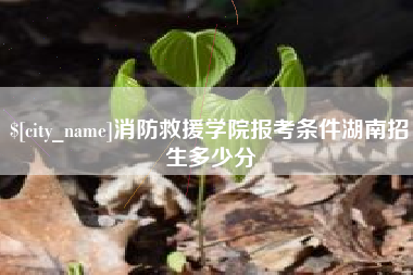 邢台消防救援学院报考条件湖南招生多少分