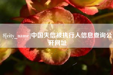 邢台中国失信被执行人信息查询公开网址