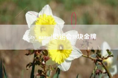 邢台奥运会39块金牌