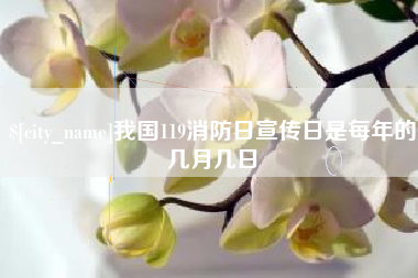邢台我国119消防日宣传日是每年的几月几日