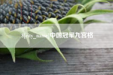 邢台中国冠军九宫格
