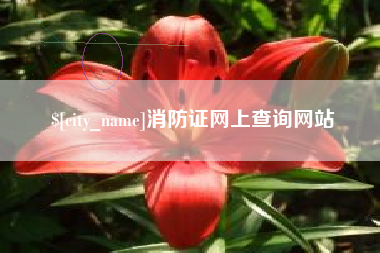 邢台消防证网上查询网站