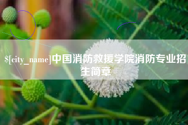 邢台中国消防救援学院消防专业招生简章