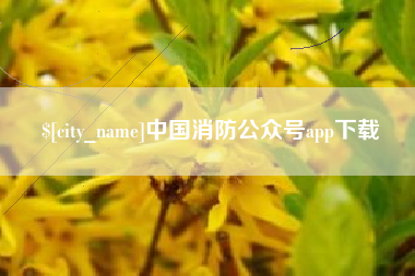 邢台中国消防公众号app下载