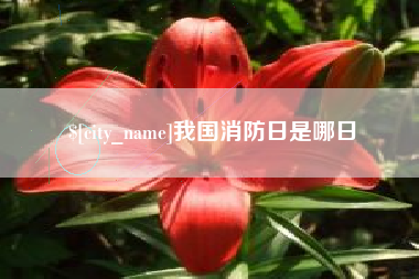邢台我国消防日是哪日