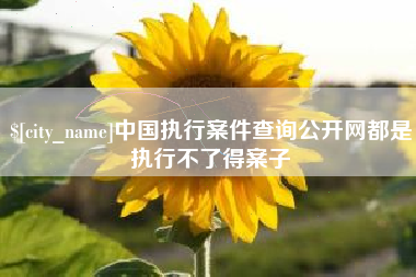 邢台中国执行案件查询公开网都是执行不了得案子