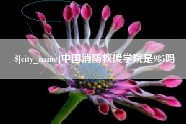 邢台中国消防救援学院是985吗