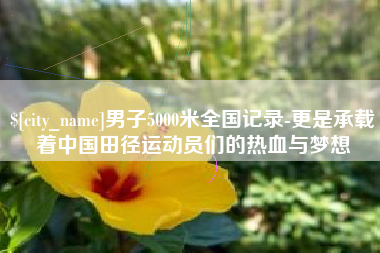 邢台男子5000米全国记录-更是承载着中国田径运动员们的热血与梦想