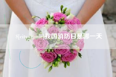 邢台我国消防日是哪一天