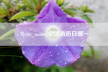 邢台全国消防日哪一