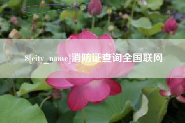 邢台消防证查询全国联网