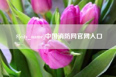 邢台中国消防网官网入口