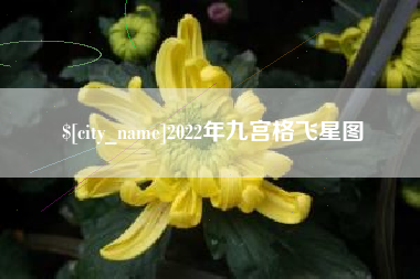 邢台2022年九宫格飞星图