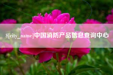 邢台中国消防产品信息查询中心
