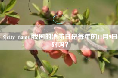 邢台我国的消防日是每年的11月9日对吗？