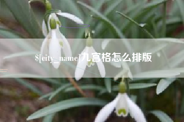 邢台九宫格怎么排版