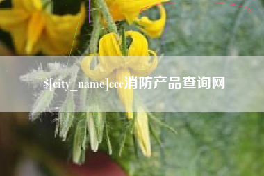 邢台ccc消防产品查询网