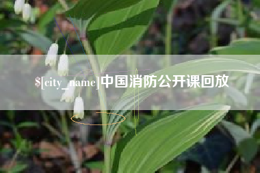 邢台中国消防公开课回放