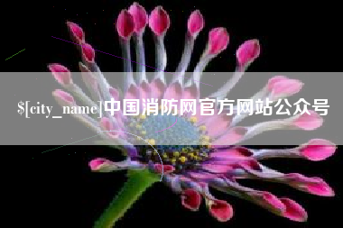 邢台中国消防网官方网站公众号