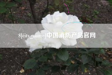 邢台中国消防产品官网