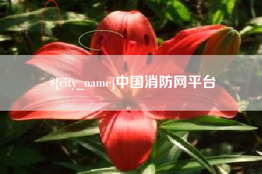 邢台中国消防网平台