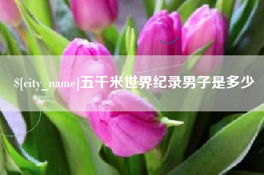 邢台五千米世界纪录男子是多少