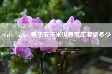 邢台男子五千米世界冠军奖金多少