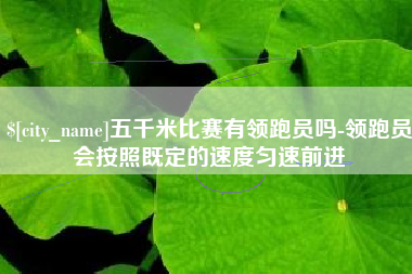 邢台五千米比赛有领跑员吗-领跑员会按照既定的速度匀速前进