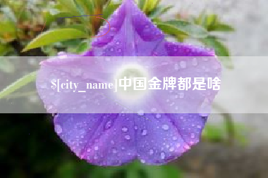 邢台中国金牌都是啥