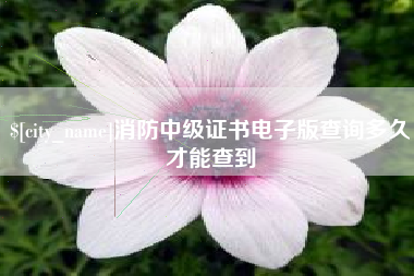 邢台消防中级证书电子版查询多久才能查到